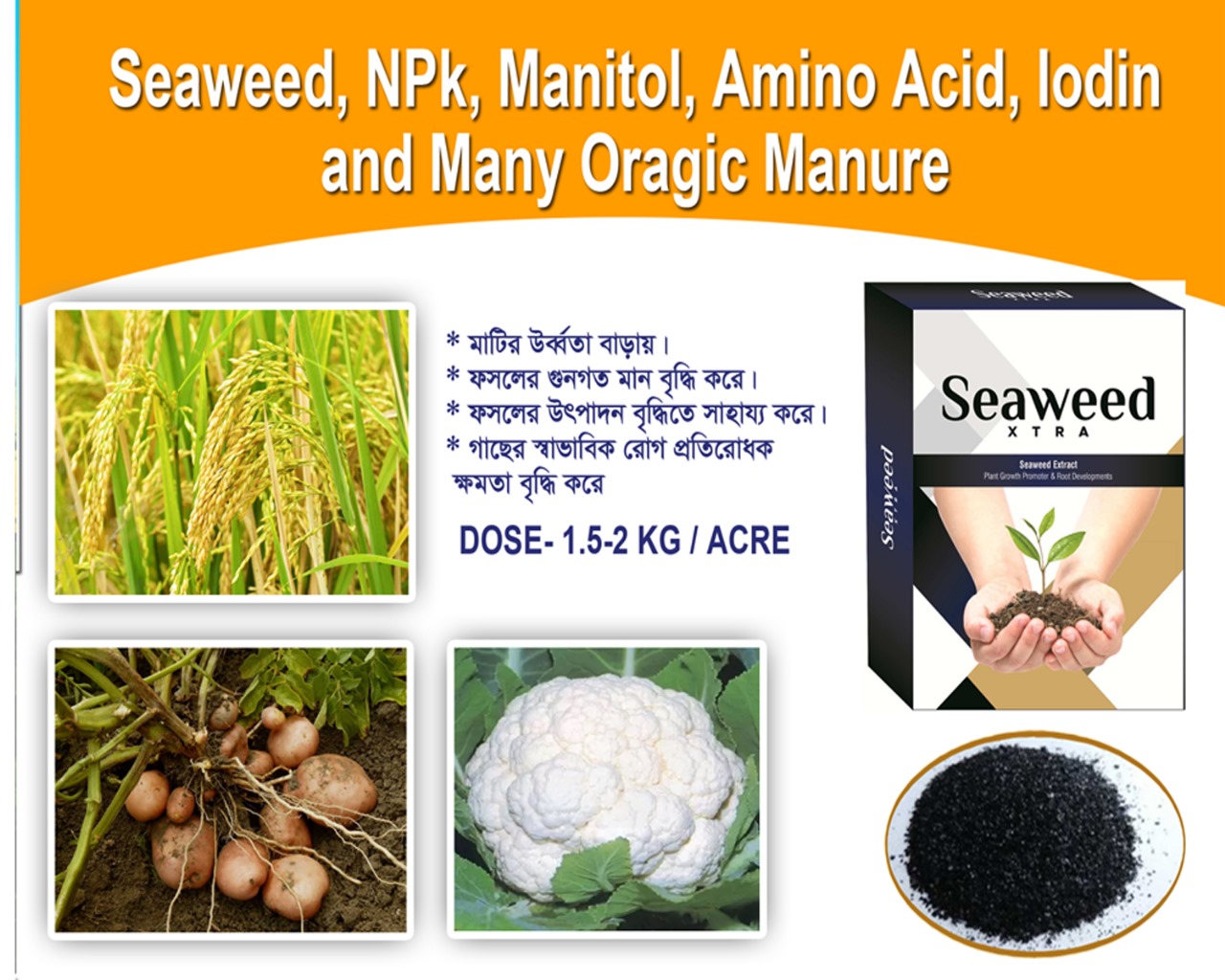SEAWEED EXT