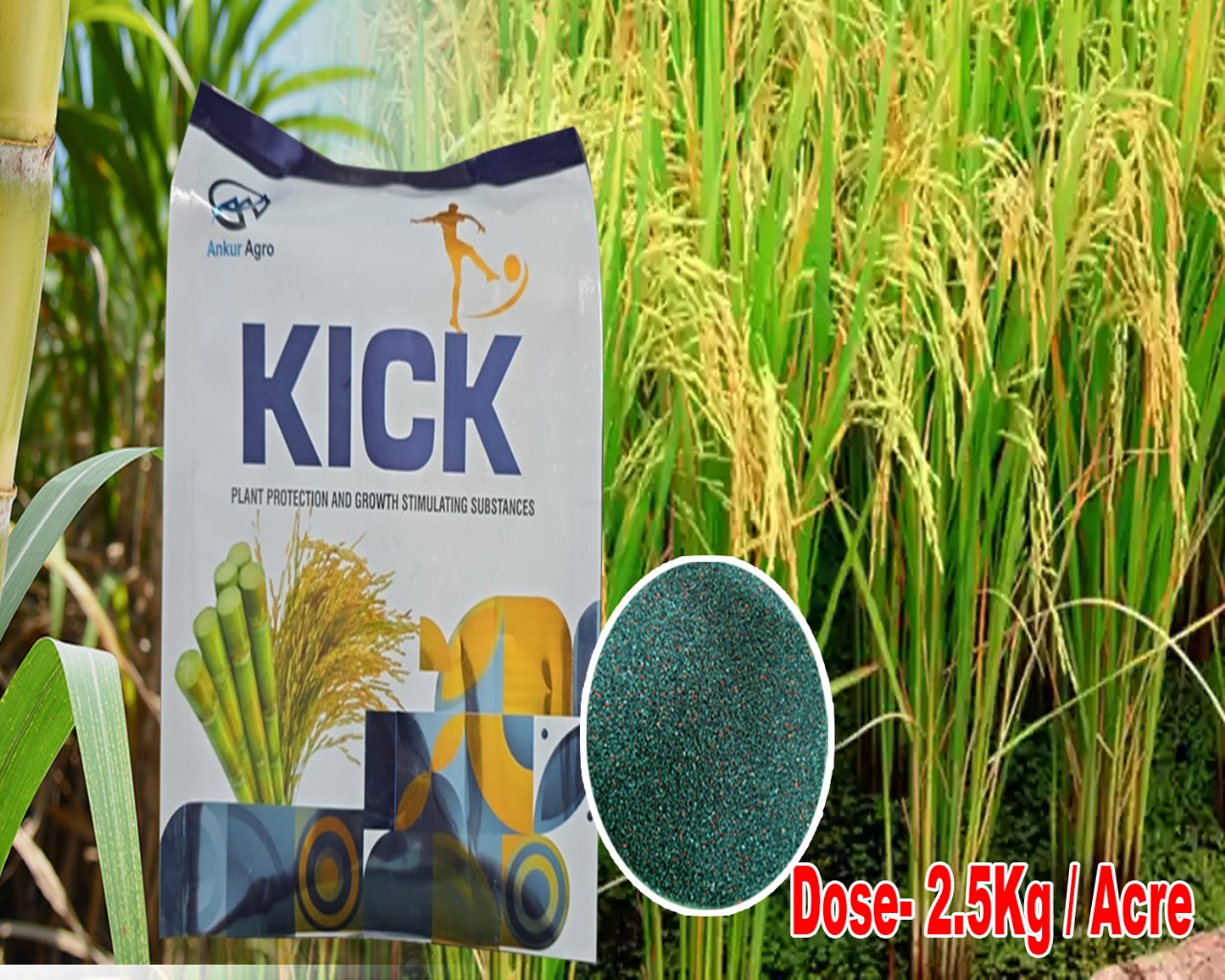 KICK
